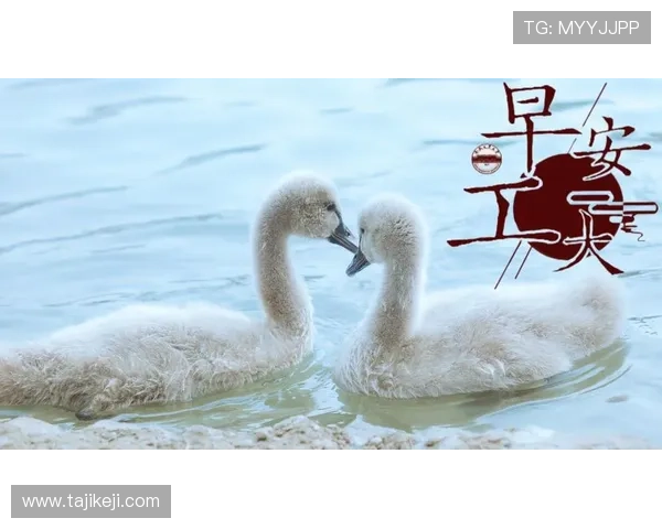 发现生活新味：让平凡的日子闪闪发光