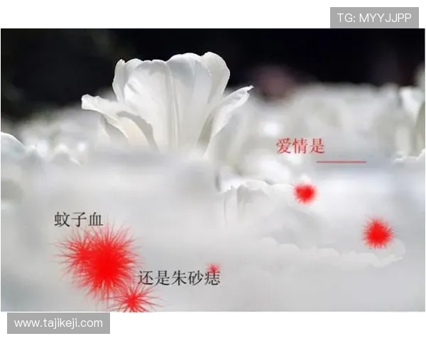 花样年华：她和他的距离，从60年代到2024，依然是心头的一点朱砂痣